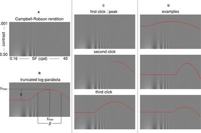 The Curve Visible on the Campbell-Robson Chart Is Not the Contrast Sensitivity Function